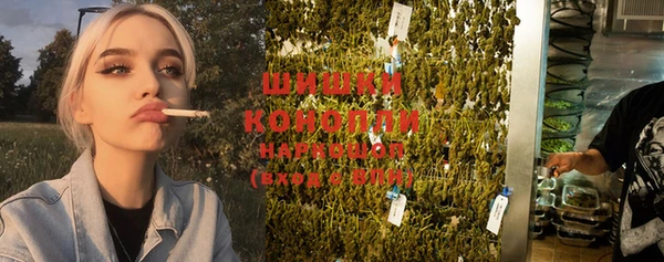 PSILOCYBIN Нефтекумск