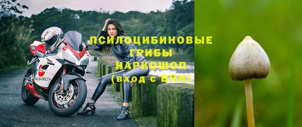 дживик Нея