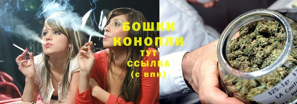 PSILOCYBIN Нефтекумск