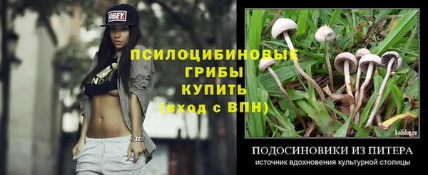 дживик Нея