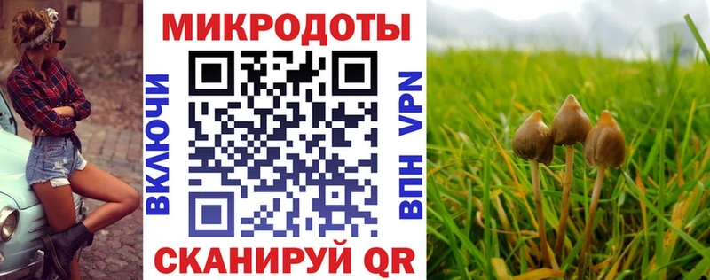 Галлюциногенные грибы ЛСД  Краснозаводск 